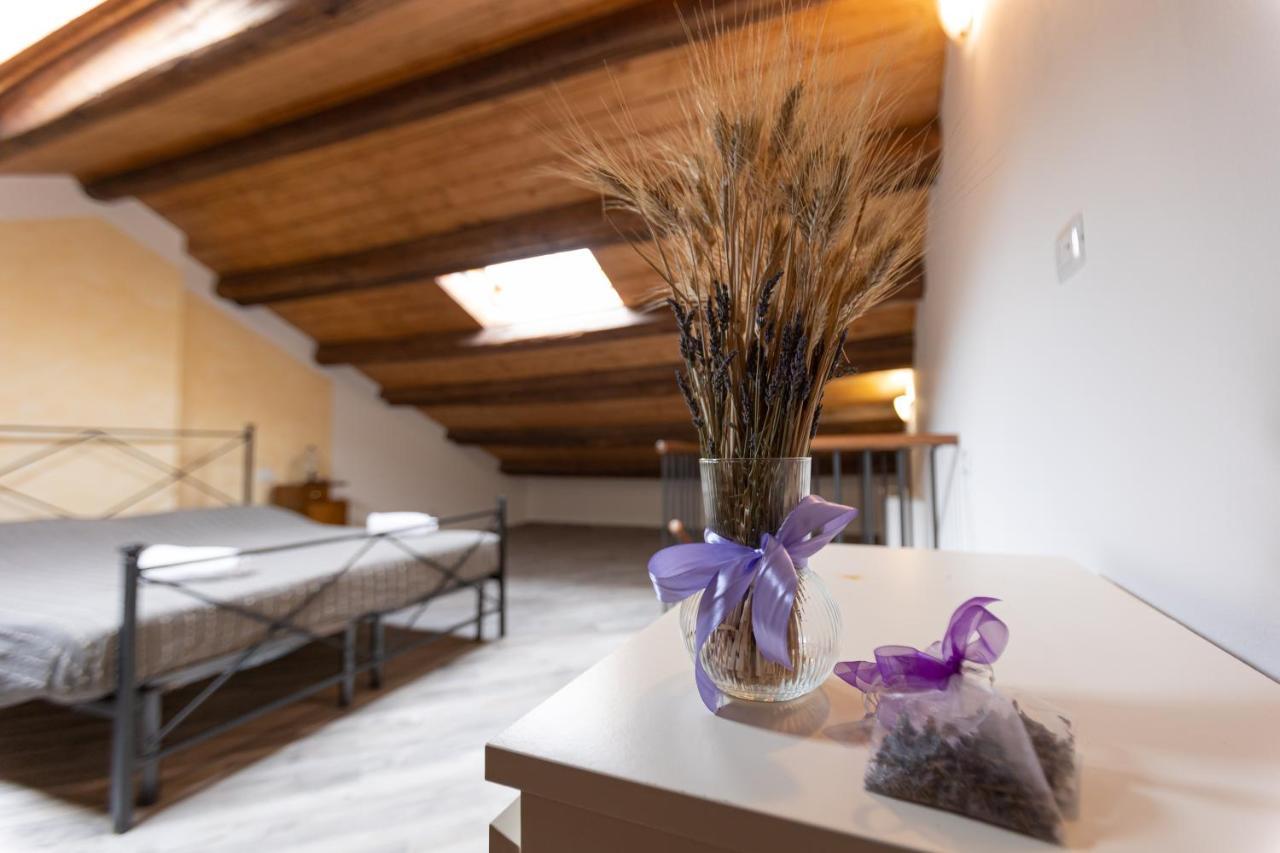 Agriturismo La Valle Della Lavanda - Podere Mezzastrada Fauglia Экстерьер фото
