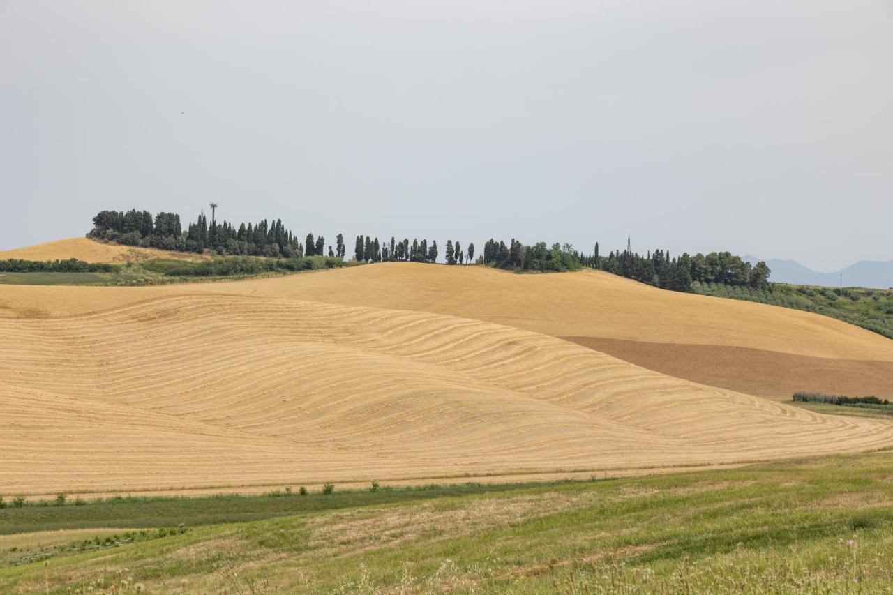 Agriturismo La Valle Della Lavanda - Podere Mezzastrada Fauglia Экстерьер фото