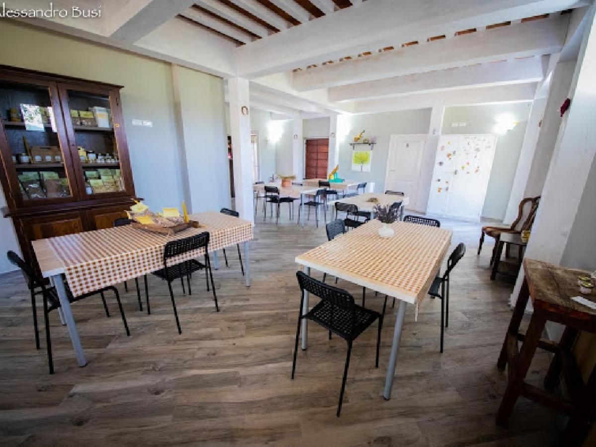 Agriturismo La Valle Della Lavanda - Podere Mezzastrada Fauglia Экстерьер фото