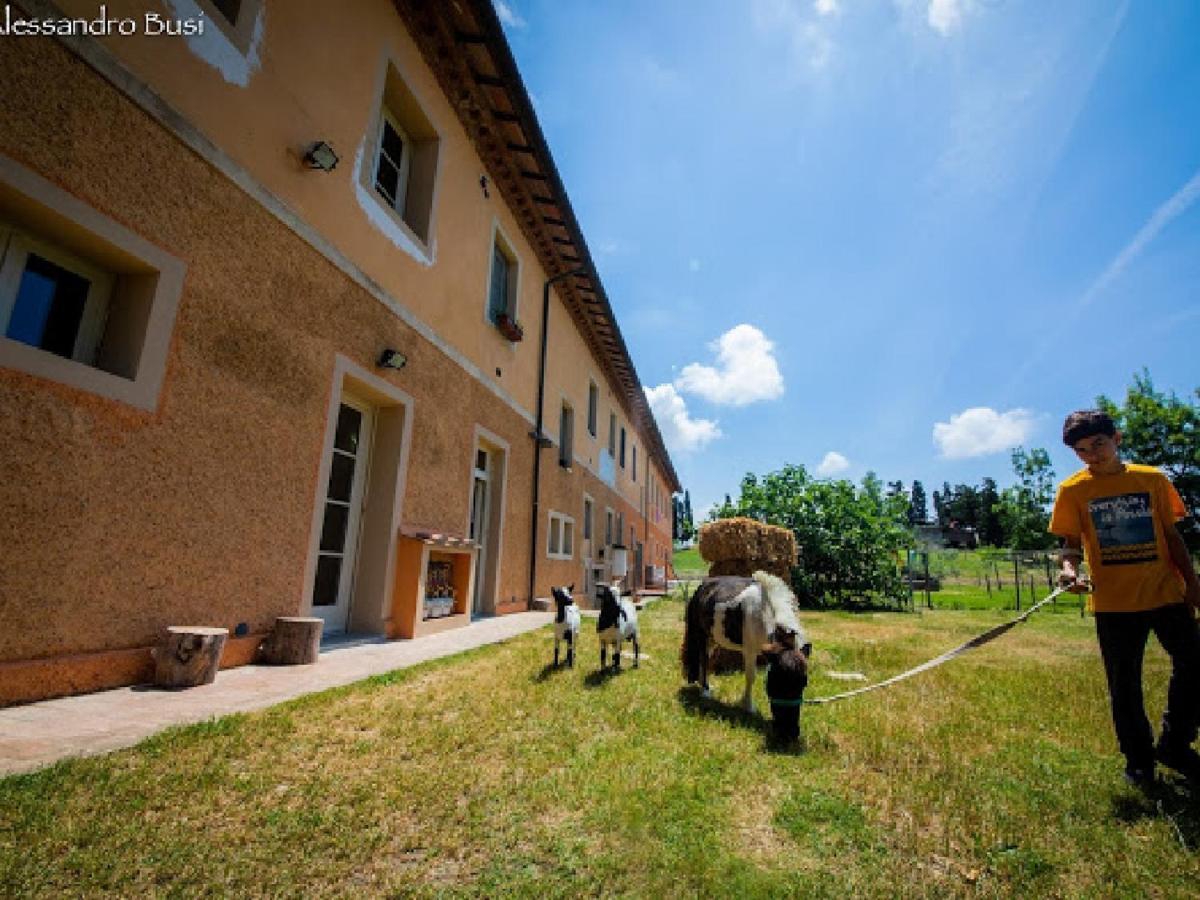 Agriturismo La Valle Della Lavanda - Podere Mezzastrada Fauglia Экстерьер фото